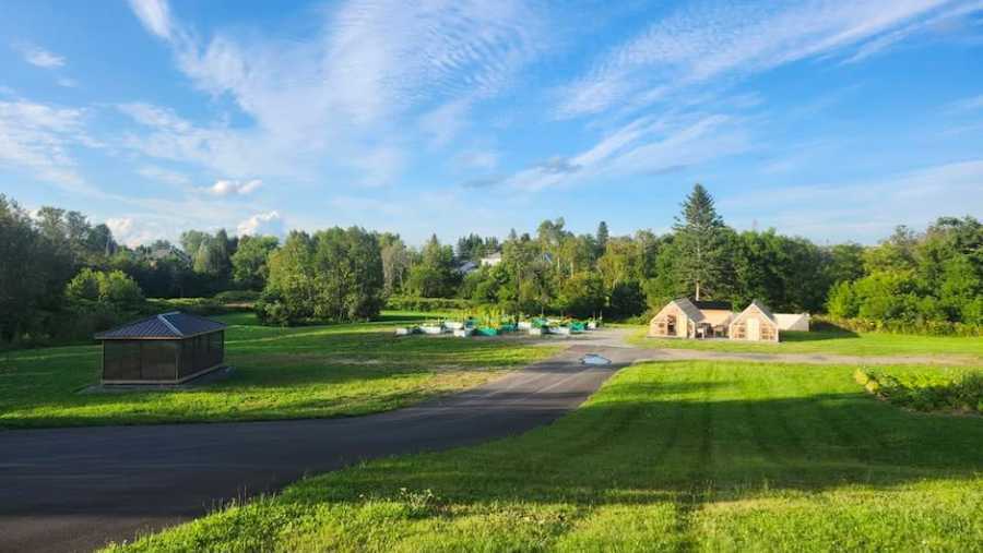 community garden